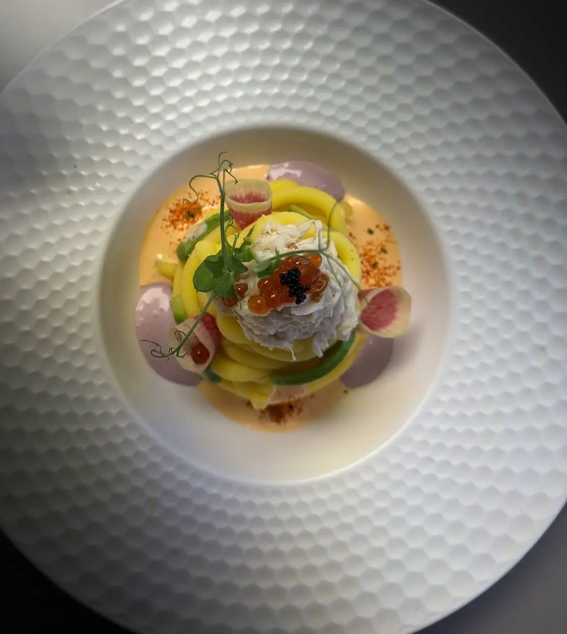 Gourmet 8